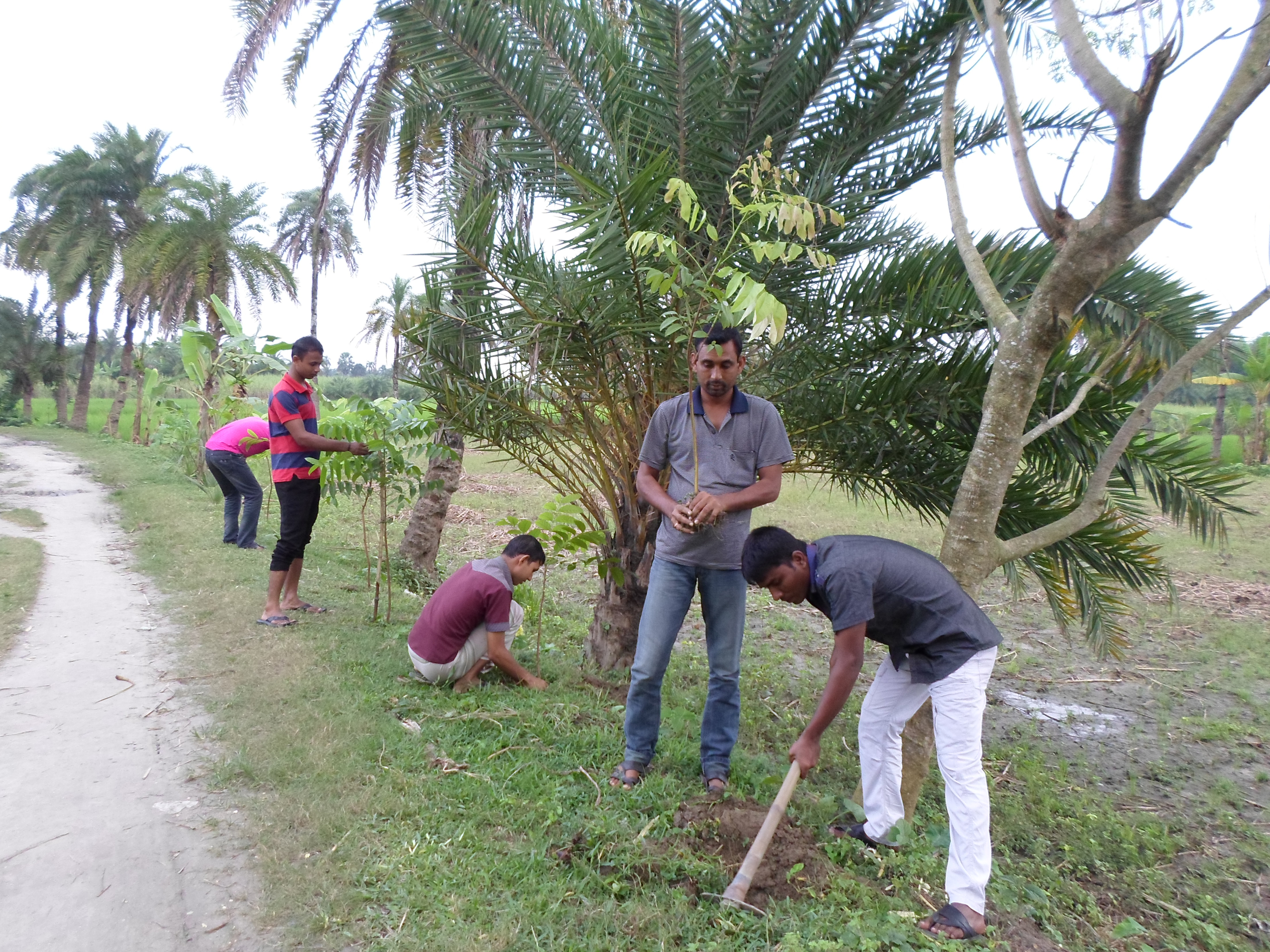 কার্যক্রম ৬